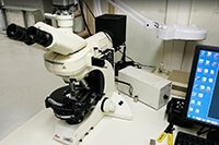Manutenção de microscópios