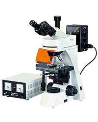 Manutenção de microscópios - Microscópio de Fluorescência